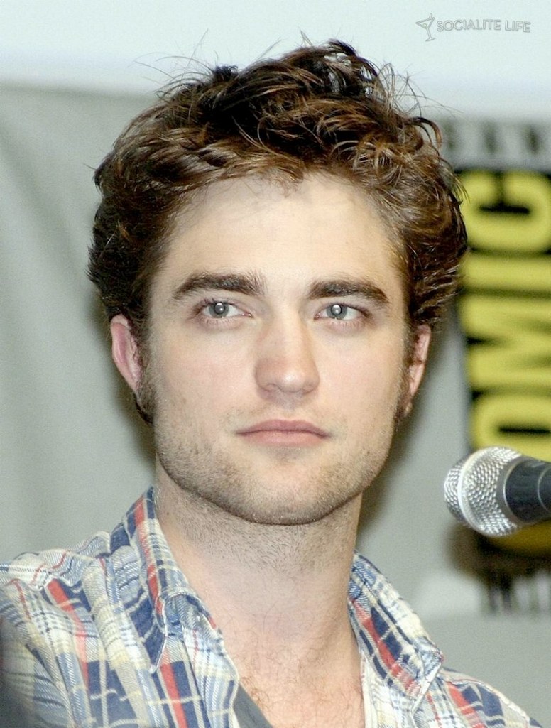 gallery_enlarged-new-moon-panel-comic-con-07242009-41