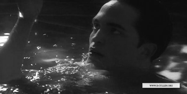 5491_132007139704_792489704_2354172_4433049_n