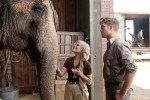 WATER FOR ELEPHANTS