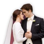 breaking dawn1