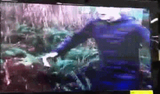 tumblr_lz808tJvQQ1r7u8cto1_400