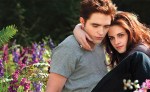 THE TWILIGHT SAGA: BREAKING DAWN-PART&nbsp;2