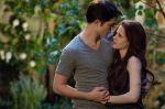 THE TWILIGHT SAGA: BREAKING DAWN-PART&nbsp;1