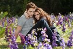 THE TWILIGHT SAGA: BREAKING DAWN-PART&nbsp;2