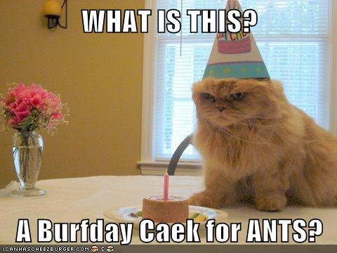 -ZN8r-3ov0yUXVO9jAKTew2