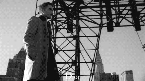 tumblr_ms8yd8S62H1rpywblo1_500