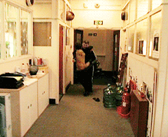 tumblr_lv0zlzzsuG1r051igo3_250