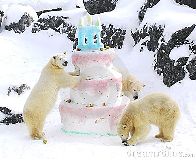 polar-bears-giant-birthday-cake-5796563