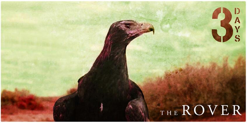 BlNRmcHCcAAfY64.jpg-large