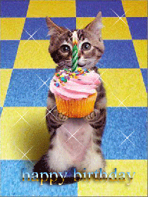 happy-birthday-cat-gif-1